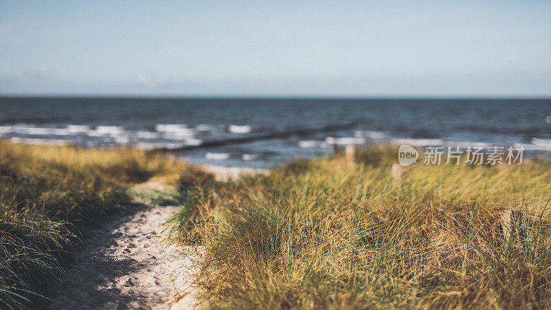 通往波罗的海一个安静的沙滩，德国Hiddensee在一个阳光明媚的日子