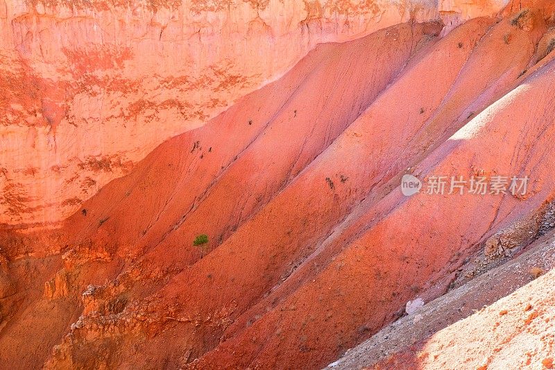 布莱斯峡谷粉红色