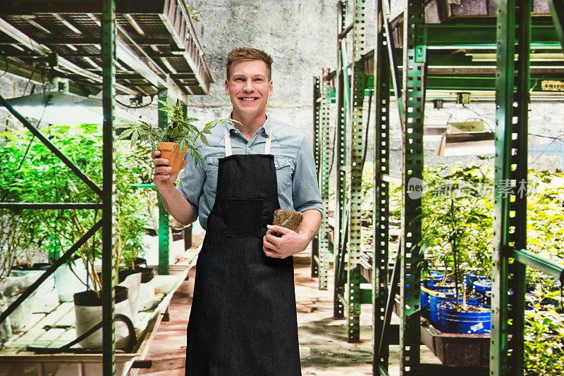 大麻店-一名男性工人正拿着大麻和盆栽植物