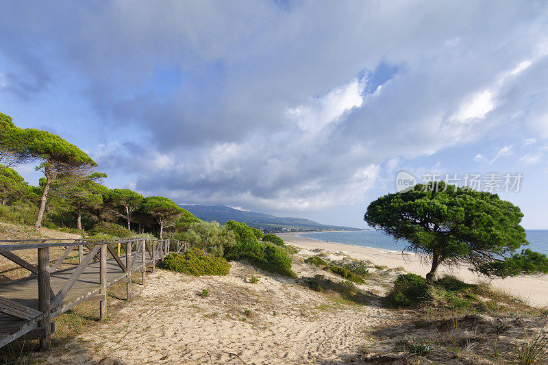 博洛尼亚沙丘，加的斯省，安达卢西亚，西班牙