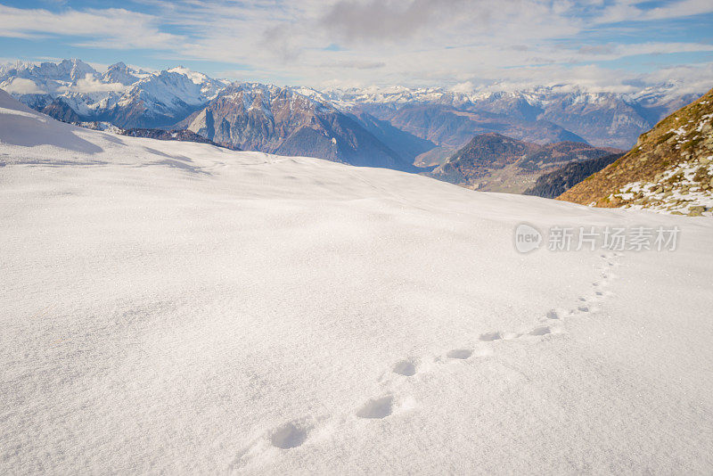 雪地里的脚印