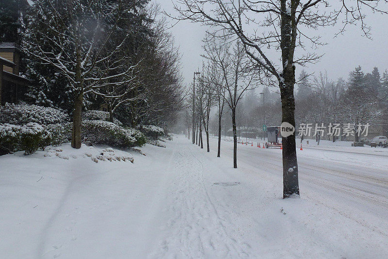 贝尔维尤路的雪天