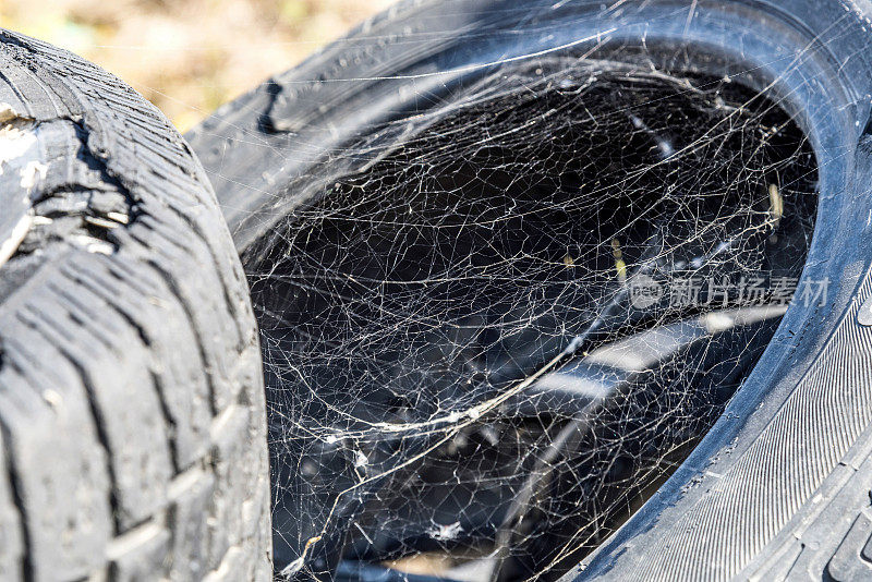 希腊用过的旧汽车轮胎和蜘蛛网