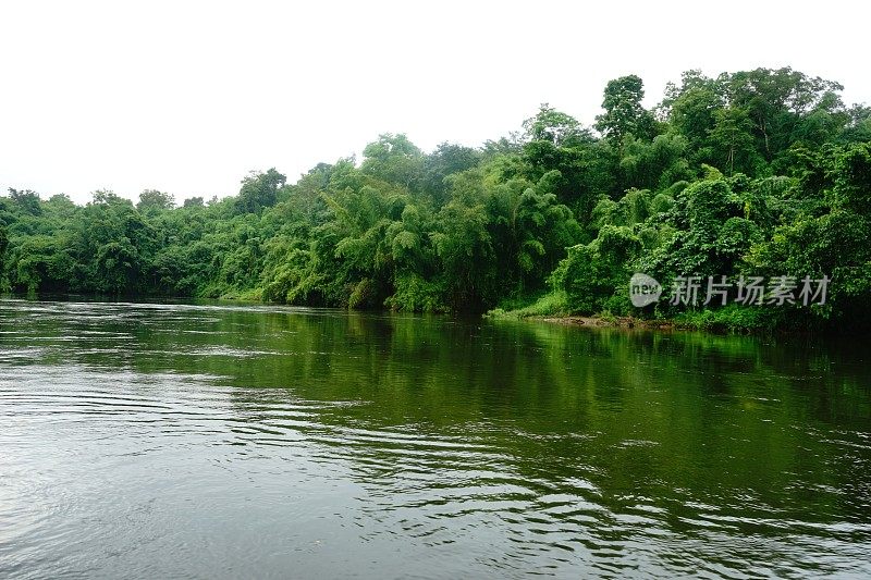 竹和水在田园诗般的风景