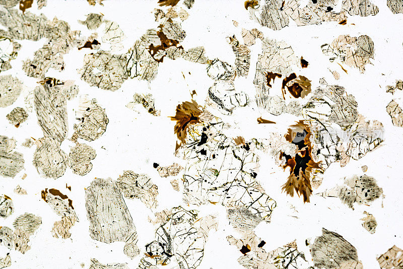 辉长岩矿物显微镜在光镜下滑动