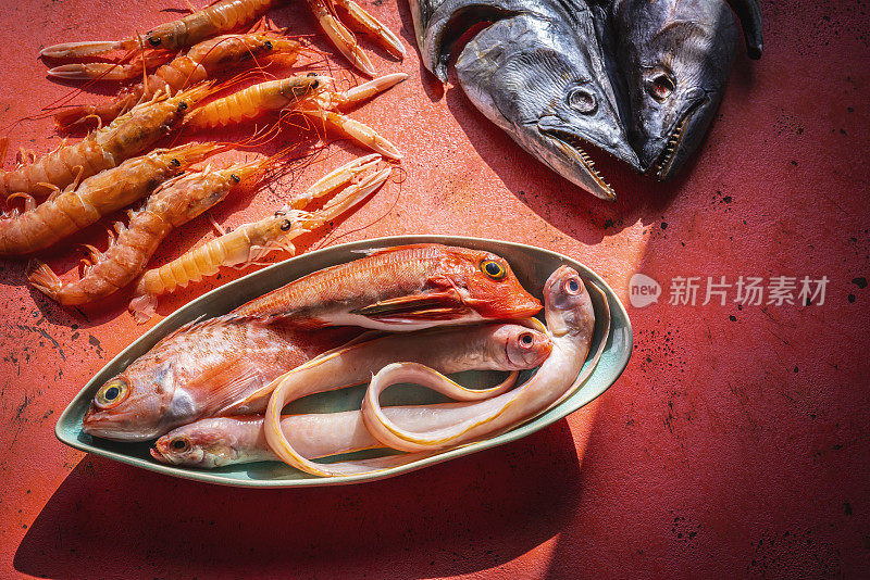 干金枪鱼，鲑鱼，虾和鱼