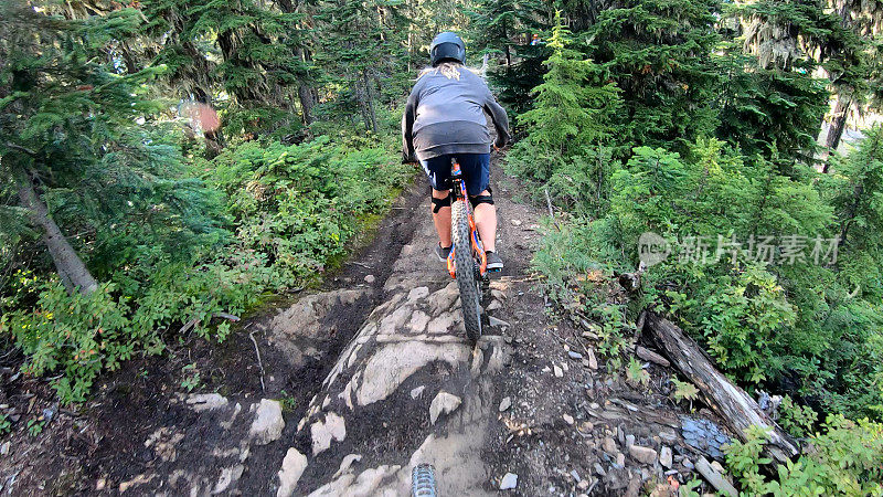 女山地自行车骑在通过森林的道路上