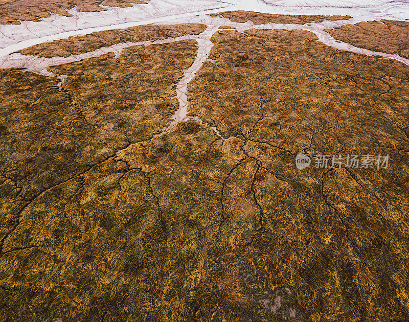 潮汐湿地