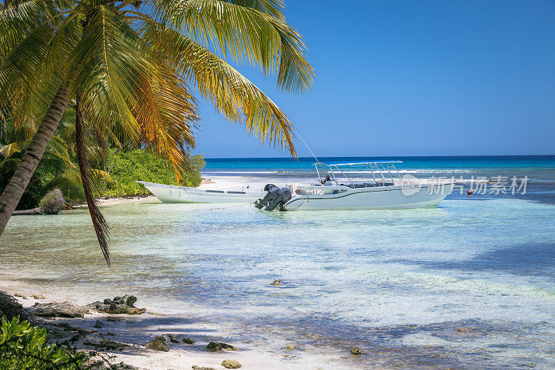 夏日天堂:带船的热带海滩——加勒比海的Saona岛