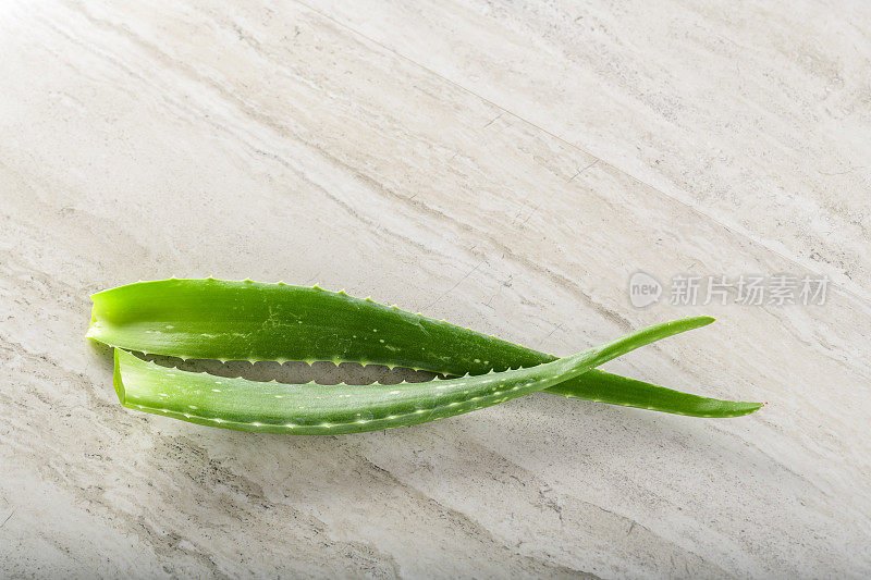 芦荟植物