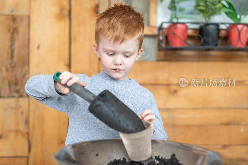 可爱的孩子把发芽的种子重新种在花盆里，然后在家里进行隔离