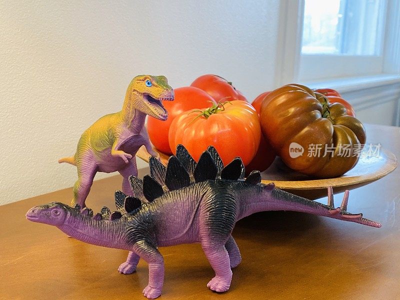 厨房柜台上的两个玩具恐龙