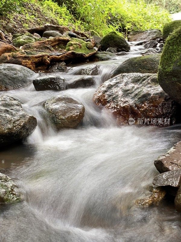 雨林溪流和巨石