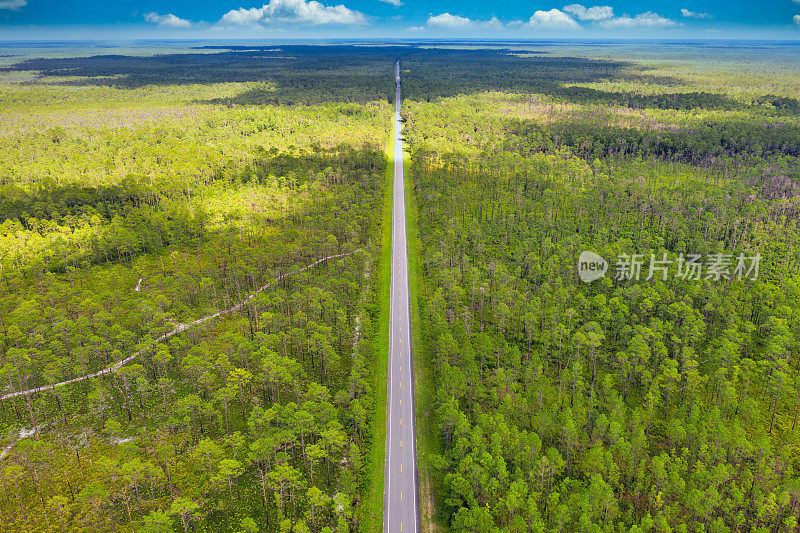 穿越森林的道路天线