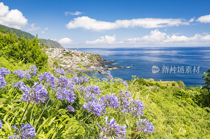 马德拉岛塞克斯海岸村庄前的尼罗河百合