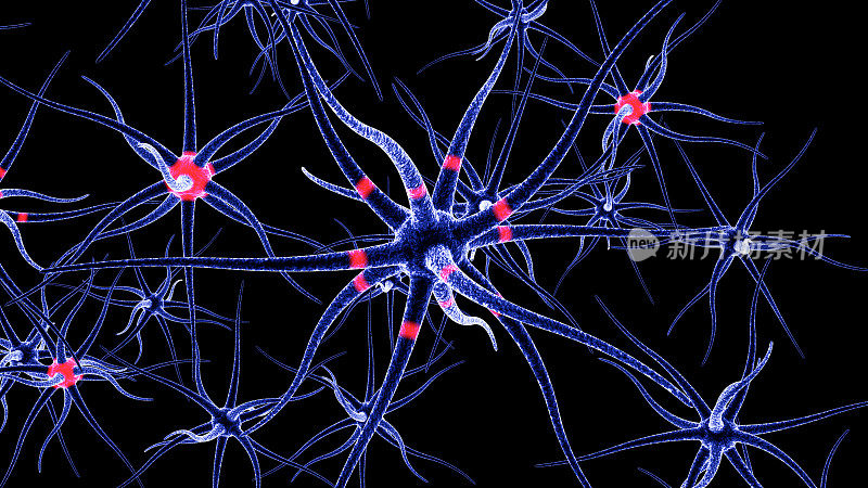 神经元在黑色背景上的3D渲染。神经细胞发出红光。背景很清楚。