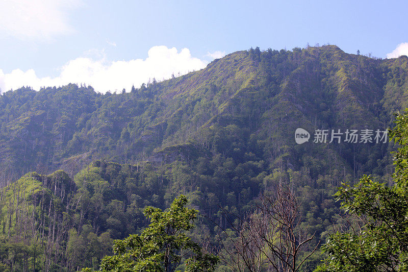 大烟山――深山中的特写镜头