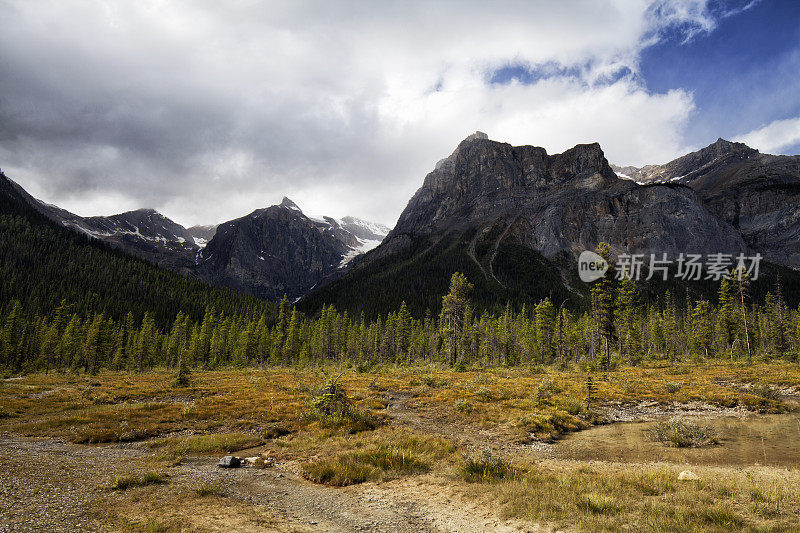 翡翠湖，Yoho国家公园，BC，加拿大