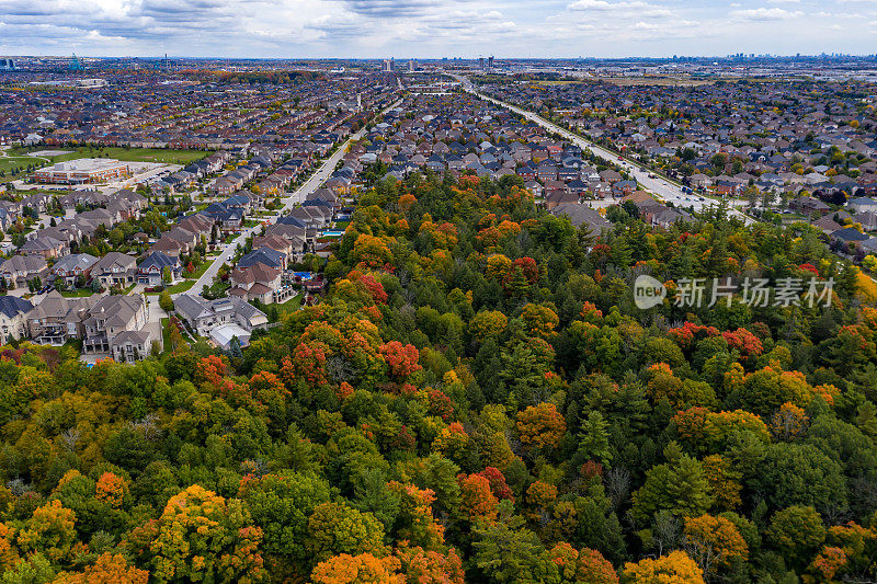 在加拿大安大略省沃恩的伍德布里奇，松树村博士和韦洛尔村社区两侧的彩色树叶
