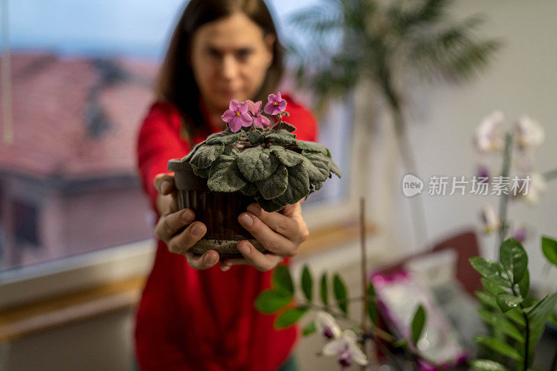 一个女人在她的花园里种植物