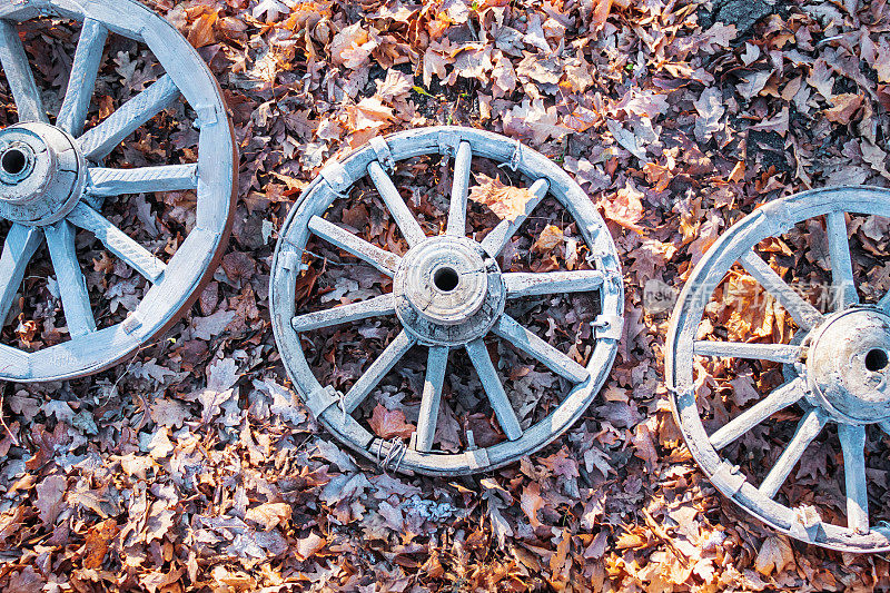三个旧的木制车轮在秋叶上。轮胎装配时间，概念