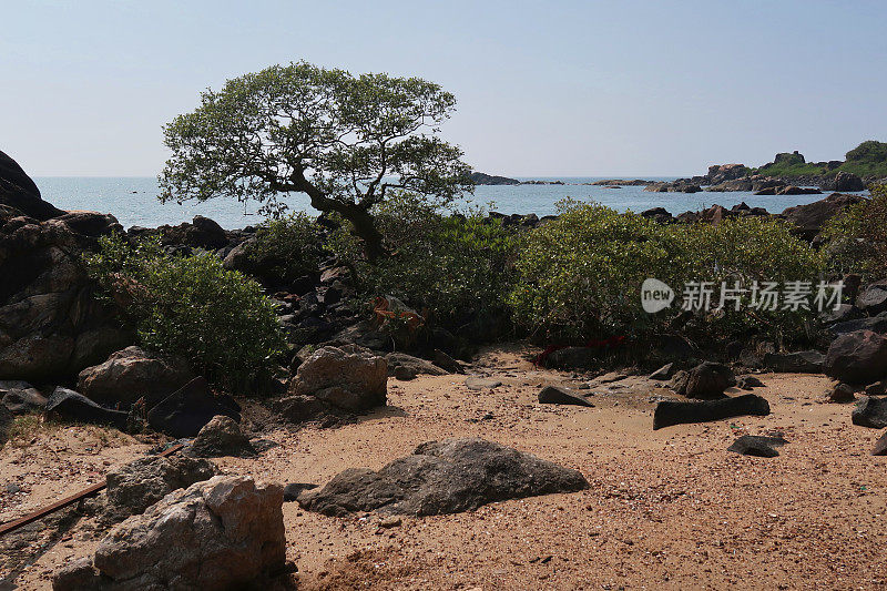 低潮时的岩石，崎岖的海岸线上有树木和灌木，热带海滩，印度果阿