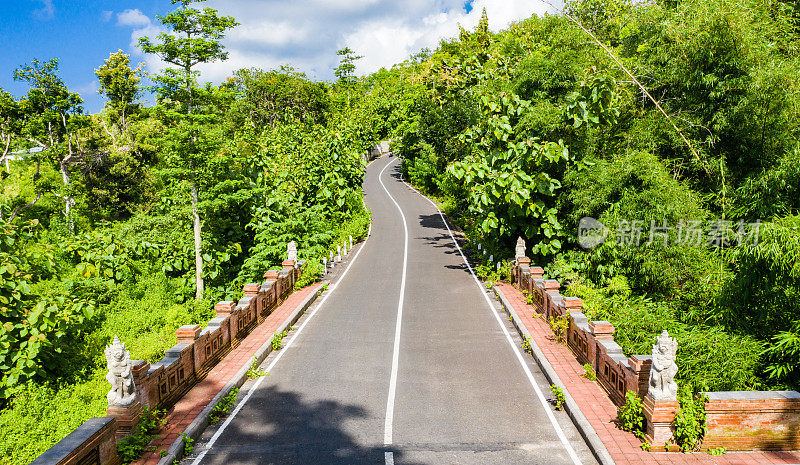 巴厘岛的公路被热带森林包围，从上面看。