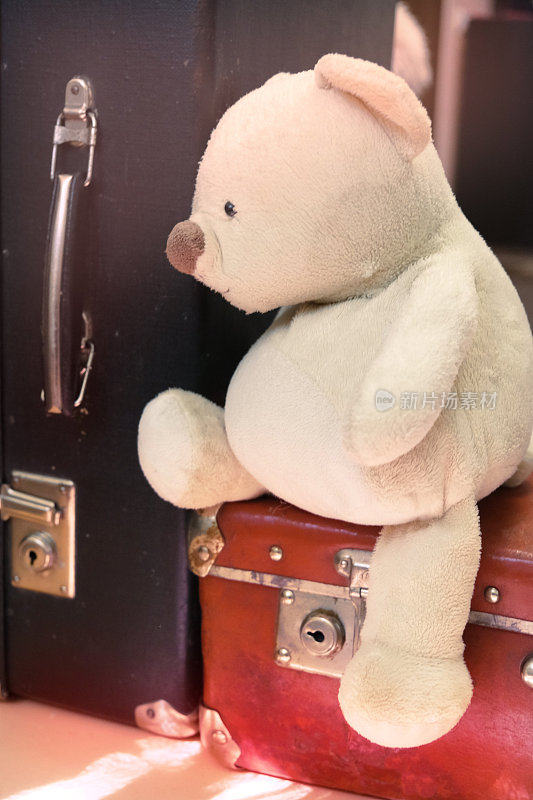 泰迪熊在复古行李箱上