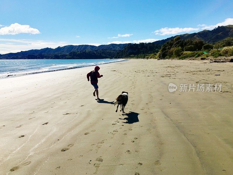 男孩和他的宠物边境牧羊犬在海滩上