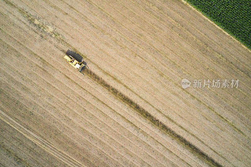 联合收割机收获农田的无人机鸟瞰图
