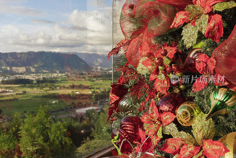 圣诞节装饰的一个房子的客厅