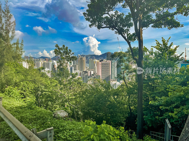 香港大埔道观景