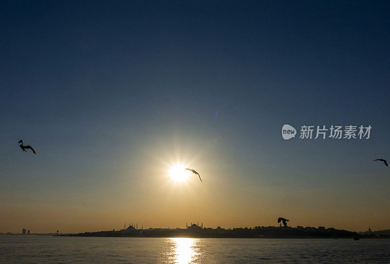 日落时分，海鸥飞过伊斯坦布尔上空