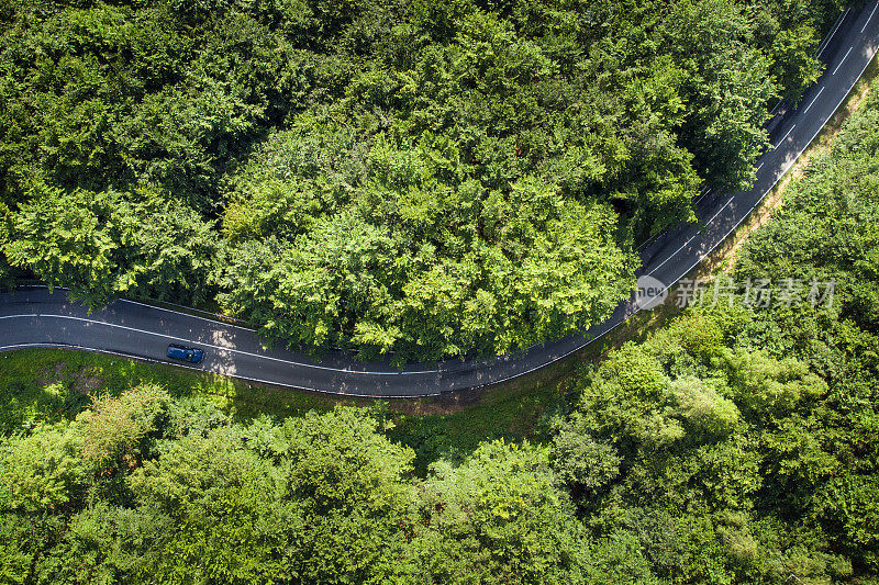 蜿蜒的道路穿过森林——鸟瞰