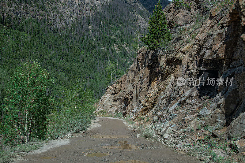 美国西部科罗拉多州西南部，陡峭的4x4土路穿过白杨树