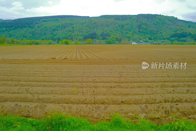 苏格兰高地