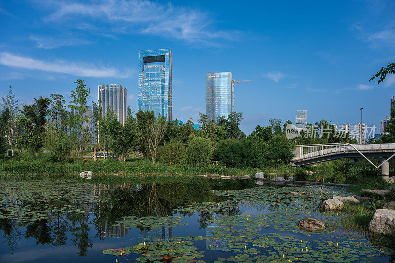 阳光明媚的日子，河边的树木和现代化的城市建筑