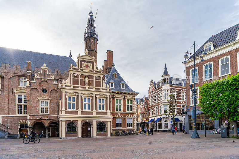 荷兰，哈勒姆——2022年3月:城市街道上的装饰性植物。哈勒姆，舒适的绿色小街。社会包容和气候变化的概念