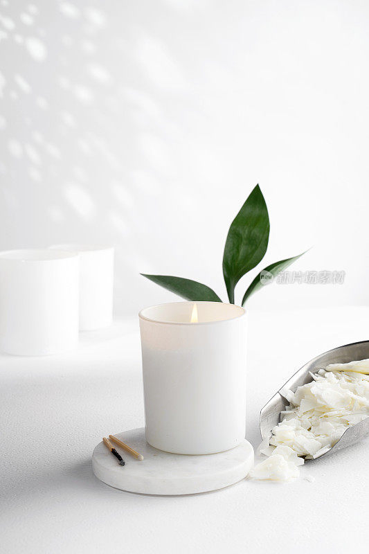 大豆蜡蜡烛在一个白色的陶瓷罐，和绿色的叶子，植物在白色的背景。天然环保有机蜡烛。时尚的概念。极简主义者。等角投影。副本的空间。