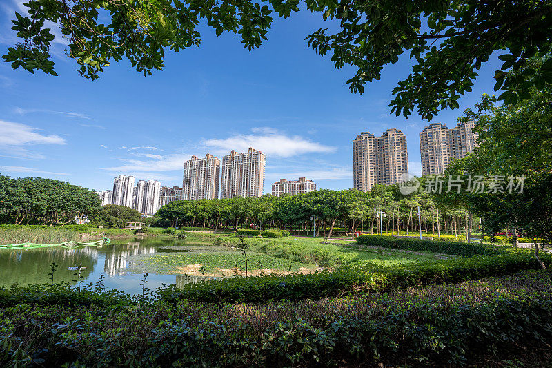 宜居城市的湖泊和绿地