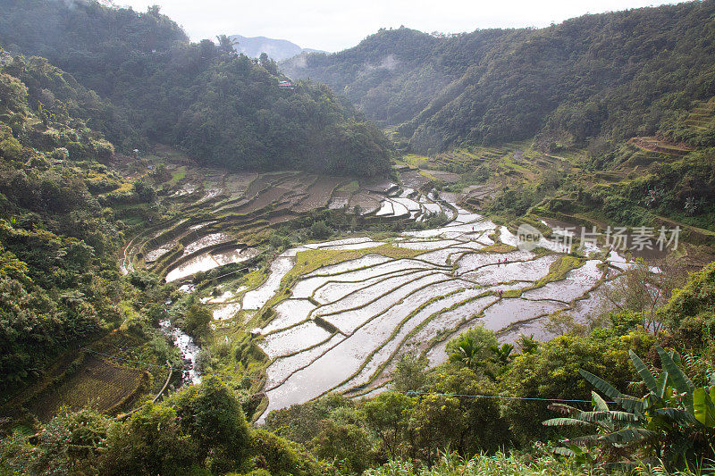 Banaue梯田，菲律宾