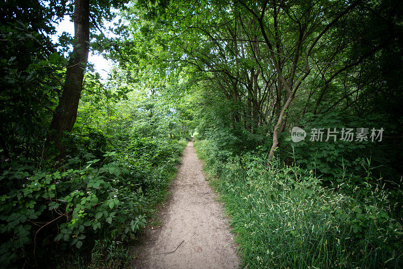 尼维达尔雷吉河沿岸的小路