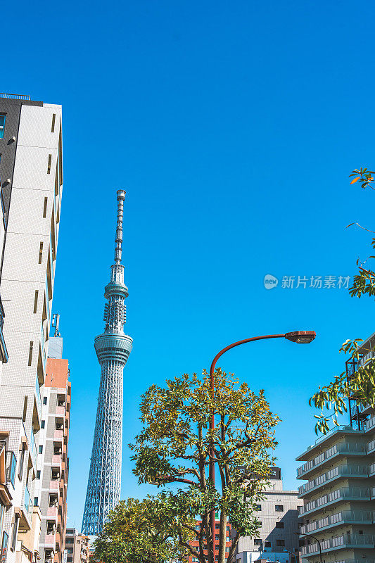 东京天空树位于东京镇的街道上，当天空晴朗时，日本