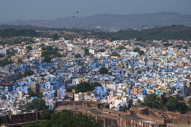 从印度拉贾斯坦邦的梅兰加尔堡俯瞰焦特布尔城的美景。焦特布尔被称为蓝色城市，因为印度教的婆罗门在那里崇拜湿婆神，湿婆神的颜色是蓝色的，他们把房子漆成蓝色。