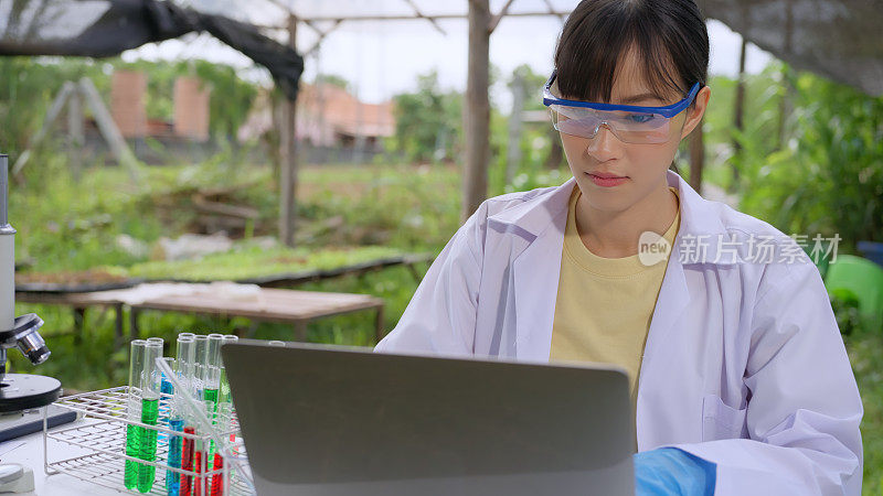 一位女性植物学家在有机蔬菜农场用笔记本电脑工作。