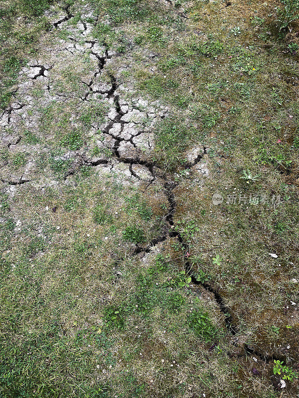 英国长期干旱导致土壤出现单一裂缝
