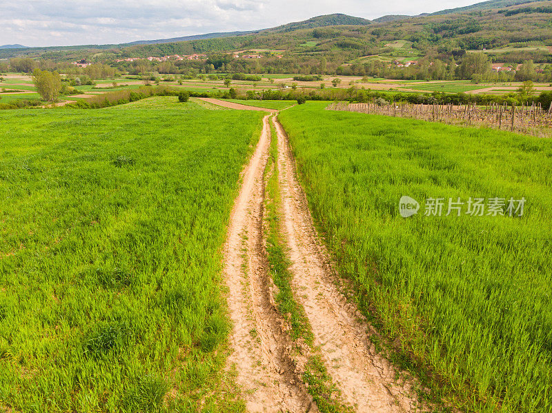 乡村道路和绿地