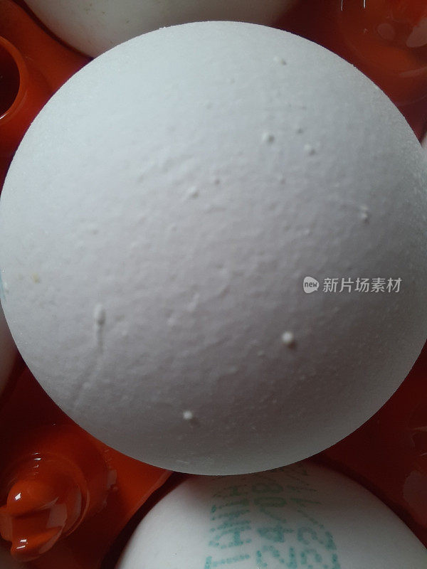 白色的鸡蛋在橙色塑料家禽蛋箱与透明塑料盖的特写视图
