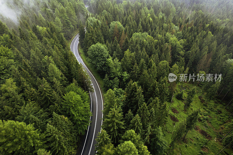 鸟瞰绿色森林中的山路