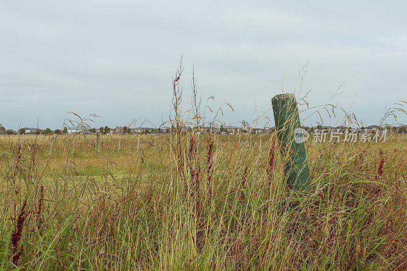 栅栏柱在长草和远郊住宅区俯瞰田野